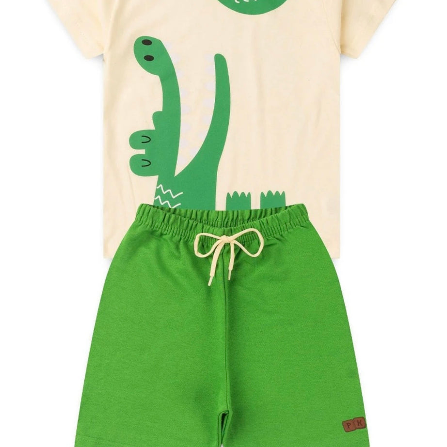 Conjunto infantil masculino camiseta e shorts Heitor